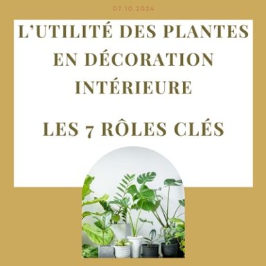 L'utilité des plantes en décoration intérieure