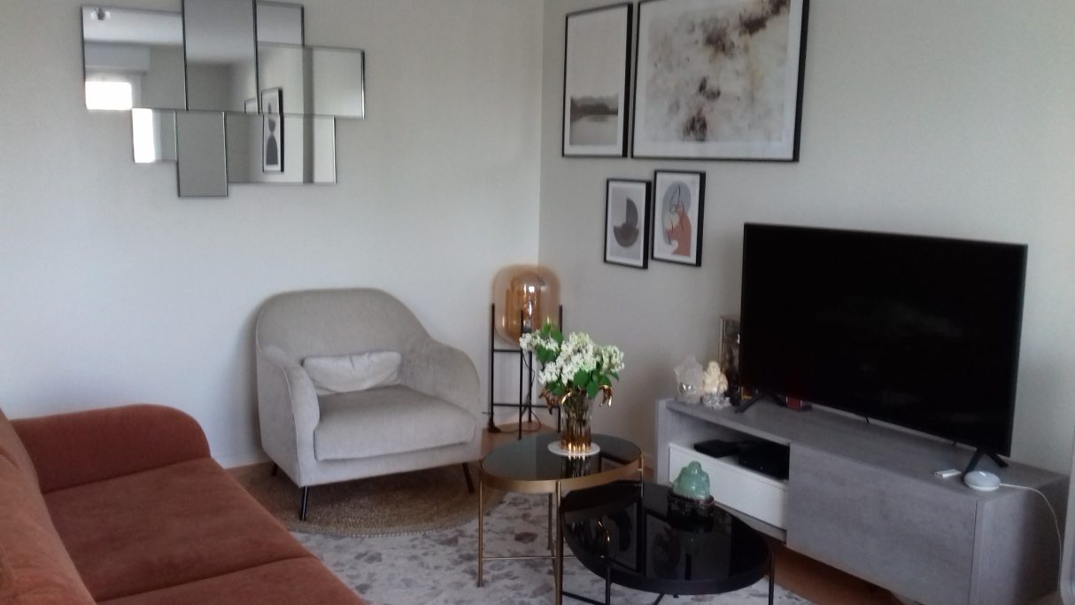 Linda Yakoub, Décoratrice d'intérieur à Mouroux, Seine et Marne déco salon contemporain ton neutre avec touche terracotta par le canapé