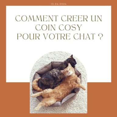 Comment créer un coin cosy pour votre chat ?