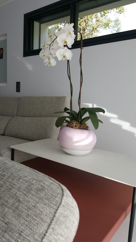 déco orchidée qui habille le bout de canapé en céramique
